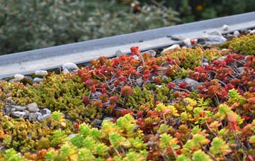 the cost of Chilbridge green roof installation