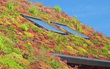 Chilbridge living roof systems