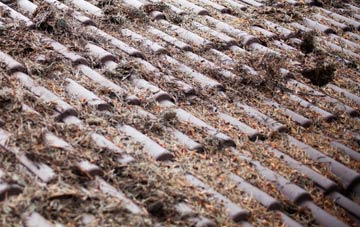 Chilbridge roof cleaning companies