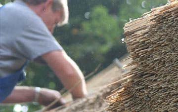 professional Chilbridge thatchers