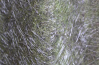 Chilbridge fibreglass roof work